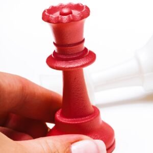 Chess business success, leadership concept