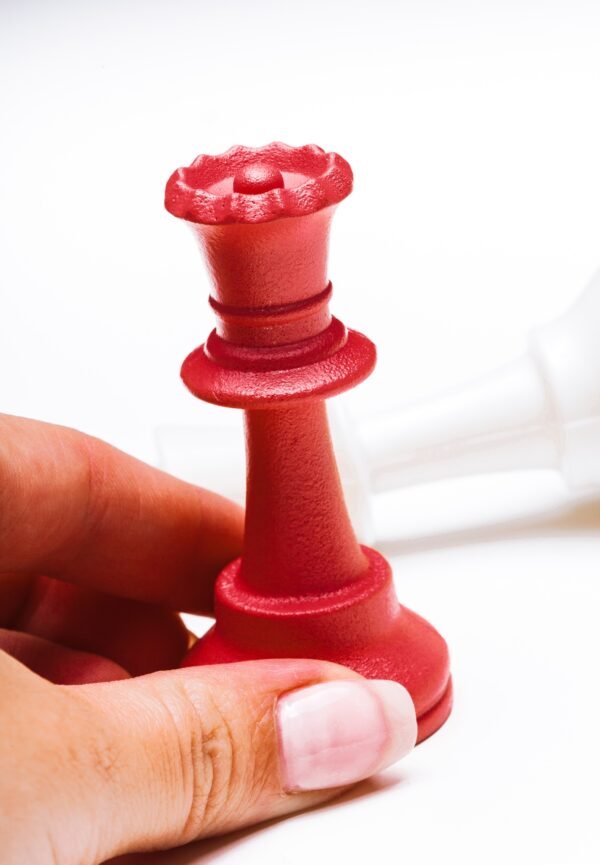 Chess business success, leadership concept